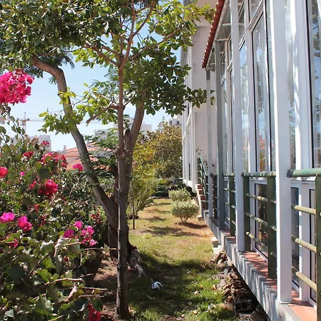 Guest house Monte Funchal (Madeira)